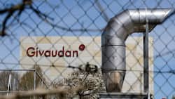 Topqualität: Zu den teuren Schweizer Blue Chips gehören auch Givaudan. Keystone