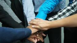 Wachsende Teams: Fehlender Einbezug führt zu Ohnmacht.  Pixabay