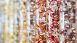 Weniger Schokolade verkauft, mehr Umsatz erzielt: Lindt&Sprüngli gelang dies 2025 dank satten Preiserhöhungen. (Archivbild)