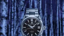 GRAND SEIKO SLGH029 - NIGHT BIRCH_002.jpg