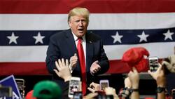 Donald Trump Midterm Elections