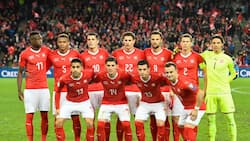 Schweizer Nati: Die Spieler tragen bei der WM Leibchen von Puma.