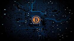Bitcoin: 2016 konnten Bitcoin-Liebhaber jubeln.  Keystone