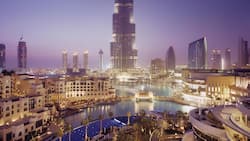 In der Golfregion, wo auch Dubai (Bild) liegt, boomt der Markt für Kunst und Luxusgüter.