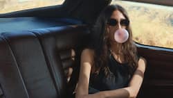 Ein Roadtrip löst das ultimative Sommerfeeling aus.