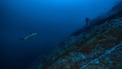 Für Exkursionen in die Unterwasserwelt: Blancpains Fifty Fathoms Tech Gombessa.