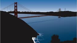 San Francisco Bridge
