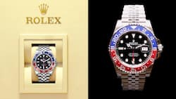 Eines der begehrtesten Modelle von Rolex: die «Pepsi».