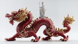 Die Schweiz im Tanz mit dem chinesischen Drachen: Die Schweiz und China stehen vor dem Abschluss eines modernisierten Freihandelsabkommens.