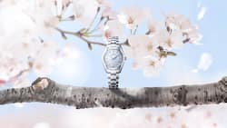 Die japanische Luxusmarke spürt bereits den Frühling: Das Thema der bei Grand Seiko stets sehr wichtigen Zifferblattgestaltung ist die Frühlingszeit.