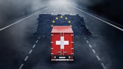 Drittstaaten liefern für rund 50 Milliarden Euro Waren und Dienstleistungen im Rahmen von öffentlichen Aufträgen. Der Schweizer Anteil: 20 Prozent.