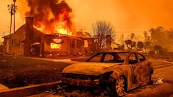 Los Angeles: Den Bränden im Frühjahr dieses Jahres sind nach Schätzungen versicherte Werte von fast 40 Milliarden US-Dollar zum Opfer gefallen.