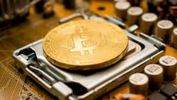 Bitcoin ist die bekannteste und beliebteste Kryptowährung.