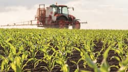 Der Finanzriese verwaltet Anlagen im Wert von 1,4 Billionen Dollar. Bei Farmland-Assets ist Nuveen die weltweite Nummer eins.