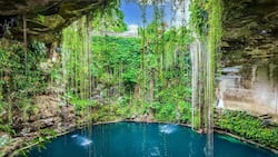 Baden wie in einem Filmset: Karsthöhle Cenote Ik Kil in Yucatáns Norden.