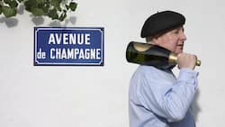 Die Champagner Produktion ist reguliert und richtet sich nach dem Markt.