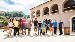 Ursprünglich: Das Team von Bodega Mas Alta verrichtet viele Arbeiten von Hand – oder mithilfe von Pferden und Maultieren.