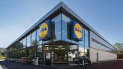Lidl Schweiz strukturiert den Non-Food-Bereich um.
