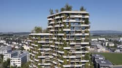 So könnte in der Zukunft gebaut werden: Das Wohnhaus Aglaya in Rotkreuz ZG kühlt durch seine helle Fassade und Rundumbegrünung.