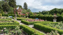 Der Rosengarten innerhalb des «Queen Elizabeth Walled Garden» des Dumfries House – heute «Van Cleef & Arpels Rose Garden» genannt.