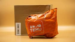 Temu-Päckli: Die chinesische Plattform kommt bald ins Geschäft mit der Schweizer Online-Möbelhändlerin Beliani.