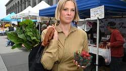 Sophie Lamparter investiert mit Dart ­Ventures unter anderem in ...