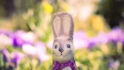 Schoko-Osterhase vor Blumenbeet.