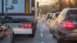 Importeure zahlen Rekordbussen für Verbrennermodelle.