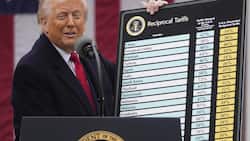 Im April 2025 schockte US-Präsident Donald Trump die Welt mit seiner Zoll-Tafel.