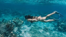 Mit Taucherbrille und Schnorchel entdecken: Das Belize Barrier Reef erstreckt sich entlang der Küste von Belize.
