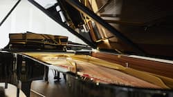 Ein Steinway-Flügel braucht drei Jahre für seine Entstehung – und masslose Passion fürs Perfekte.