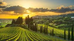 Italien führt zwar das Ranking der weltweiten Weinproduktion an. Doch der Output in den Regionen ist heterogen. In der Toskana schrumpft die Weinproduktion 2025 um 12,5 Prozent gegenüber 2024.