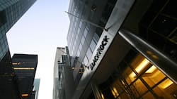 Blackrock ist mit 452 Milliarden Dollar bei nachhaltigen Fonds die Nummer eins.