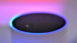 Kind oder Kegel? Mit Amazons Alexa kann über das kegelförmige Mikrofon interagiert werden.
