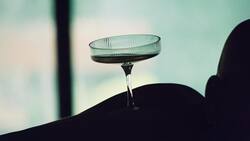 «Es gab Champagner, es gab die Frau, es gab Licht und Schatten, dazu korrelierend Reichtum, Nacktheit, Sichtbarkeit. Champagner sollte niemals einen Anlass benötigen, um unverhohlen kredenzt zu werden. Zum 35sten Geburtstag depeschiere ich die grossartigsten Glückwünsche.»