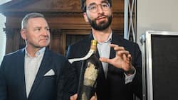 Yquem-Önologe Toni El Khawand (rechts im Bild) präsentiert eine der sorgfältig restaurieren Flaschen.
