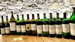California Dreaming oder Marseillaise? Sieben Monte Bello-Jahrgänge stellten sich Klassikern aus Burgund und Bordeaux.