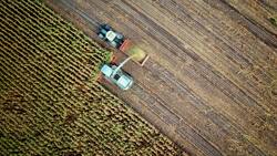 Landwirtschaft_Feld_Bauer