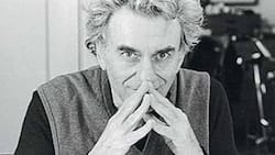 Der 1996 verstorbene US-Ökonom Hyman Minsky gilt als führender Forscher und Theoretiker zu Übertreibungen an Kapital- und anderen Märkten, die zu Blasen führen.