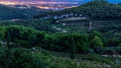 Das Anbaugebiet Bandol in Südfrankreich ist eine Mourvèdre-Hochburg. Die Sorte liefert hier Stoff für gehaltvolle Rosés und kräftige, aber elegante Rotweine.