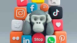 Die Ohren zuhalten: Wer Social-Media-Kanäle konsequent ausblenden kann, hat Erfolg.