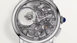 Die Rotonde de Cartier inszeniert die Tonfedern auf der Vorderseite.