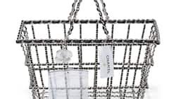 Diese Handtasche von Chanel kam für 152’400 Dollar unter den Auktionshammer von Christie’s.