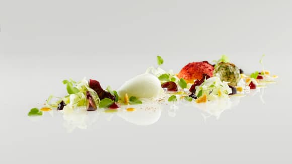 TR_Sommer_2015_Kirsche_mit_Yoghurt_Fenchel_und_Sumach