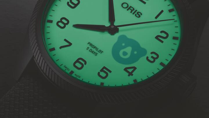 Im Dunkeln ist der Oris-Bär zu sehen.