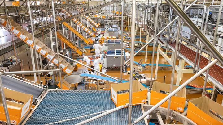 Zweifel-Chip-Reportage: Nur mit Genehmigung von Zweifel-Pomy AG