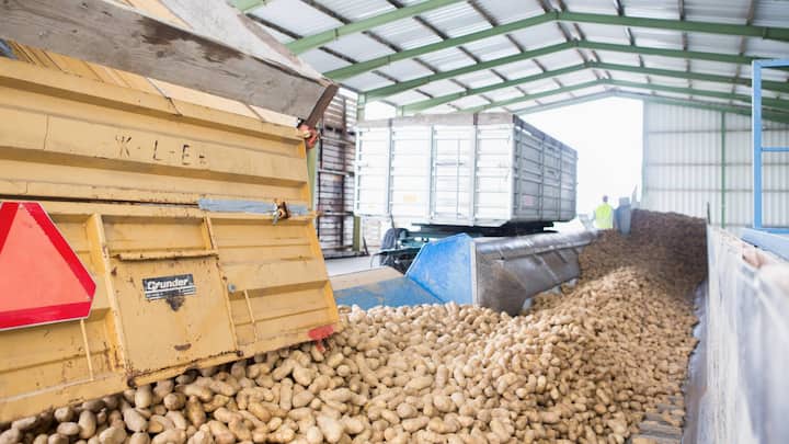 Knapp 90 Prozent der Zutaten bezieht McDonald’s von Schweizer Lieferanten: die Pommes frites von der Fenaco-Tochter Frigemo