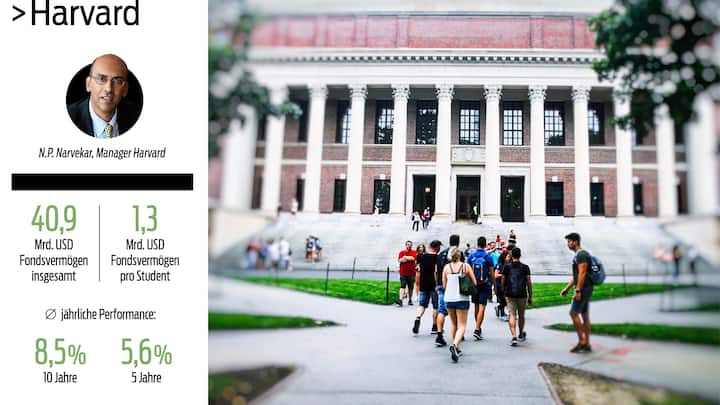 Harvard Zahlen