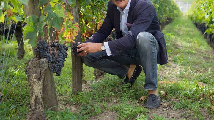 Stephan von Neipperg