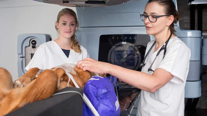 Für Rohrer Bley (rechts) und ihre Abteilung für Radioonkologie ist der Linearbeschleuniger wichtig. Nicht zuletzt dank ihm hat die Krebstherapie am Tierspital Zürich europaweit einen sehr guten Ruf.